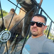 ���������� ��������, ������� �����, 36