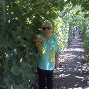 ���������� ����, ���� ������� ������, 71 ���, ������������ ��� ������, ����� � ���������, c�������� ���������