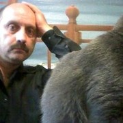  ,   , 50 ,   
