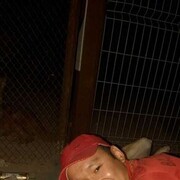  ,  , 36