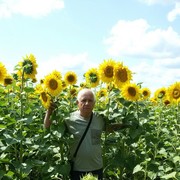 ���������� ������, ���� ������� ������, 74 ����, ������������ ��� ����� � ���������, c�������� ���������