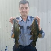  ,   , 58 ,     , c , 
