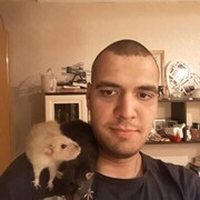  --,   , 28 ,   ,   , c , 