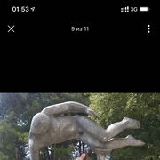 ���������� ����, ���� ������� ���������, 31 ���, ������������ ��� ������, ����� � ���������, c�������� ���������