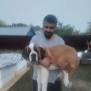 ���������� ������, ���� ������� ������ ���, 36 ���, ������������ ��� ������, ����� � ���������, ���������