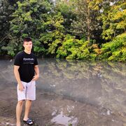 ���������� ������, ���� ����� ������, 24 ����, ������������ ��� ������, ����� � ���������