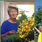 ���������� ������������, ���� ������� �����, 59 ���, ������������ ��� ������, ����� � ���������