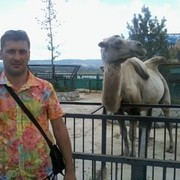  ,   Ruslan80, 44 ,   ,   , c , 