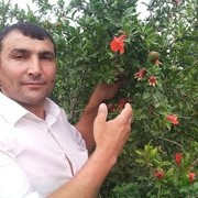  ,   , 47 ,   ,   , c , 