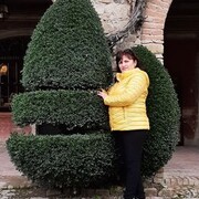  ,   , 62 ,   c 