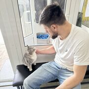  ,   , 28 ,   ,   