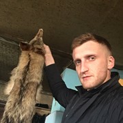 ���������� ��������, ���� ������� ������, 38 ���, ������������ ��� ������, ����� � ���������, c�������� ���������