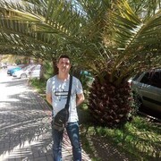   ,   , 52 ,   ,   , 