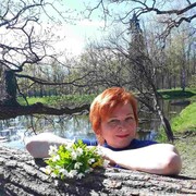 ���������� �����-���������, ���� ������� �����, 56 ���, ������������ 