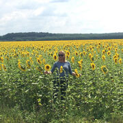 ���������� �����������, ���� ������� ����, 44 ����, ������������ ��� ������, ����� � ���������, c�������� ���������