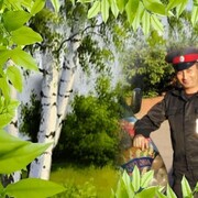  ,   , 51 ,   ,   , c 