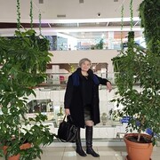 ���������� �������������, ���� ������� ����, 53 ����, ������������ ��� ������, ����� � ���������, c�������� ���������