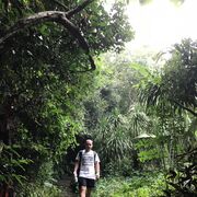 ���������� ���, ���� ������� �������, 36 ���, ������������ ��� ������, ����� � ���������