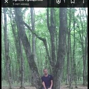  ,  , 37