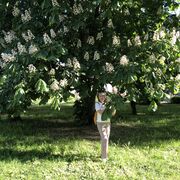  -,   , 53 ,     , c , 