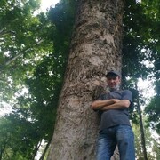 ���������� �������, ���� ������� �����, 50 ���, ������������ ��� ������, ����� � ���������