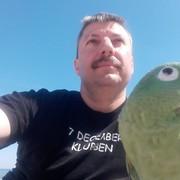  ,   , 52 ,     , c 