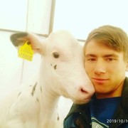 ���������� ������, ������� �������, 27