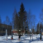 ���������� ����������, ���� ������� �������, 29 ���, ������������ ��� ������, ����� � ���������, c�������� ���������, ���������