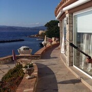 ���������� ����, ���� ������� ������, 38 ���, ������������ ��� ������, ����� � ���������