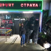 ���������� ����, ���� ������� ��������, 43 ����, ������������ ��� ������, ����� � ���������, c�������� ���������, ���������