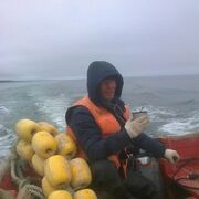 ���������� ���������, ���� ������� �������, 50 ���, ������������ ��� ������