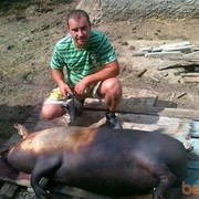  Dimitrie Cantemir,  kolea, 41