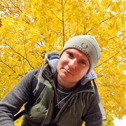 ���������� ��������, ���� ������� ����, 40 ���, ������������ ��� ������, ����� � ���������