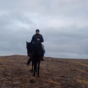 ���������� �������, ���� ������� ���, 33 ����, ������������ ��� ������, ����� � ���������, c�������� ���������, ���������