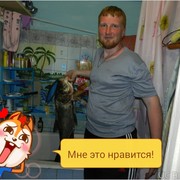  ,  , 34