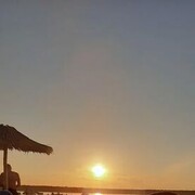 ���������� ������, ���� ������� ������, 43 ����, ������������ ��� ������, ����� � ���������