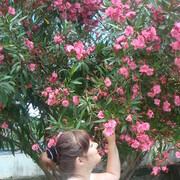 ���������� ������-��-����, ���� ������� ������, 46 ���, ������������ ��� ������, ����� � ���������, c�������� ���������