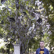 ���������� ��������, ���� ������� Serick IX, 41 ���, ������������ ��� ������, ����� � ���������, c�������� ���������