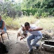 ���������� ���������, ���� ������� ������, 42 ����, ������������ ��� ������, ����� � ���������, c�������� ���������