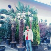  ,   Konstantin, 36 ,   ,   , c 