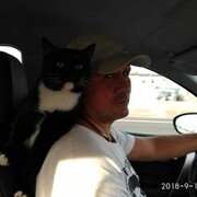  ,   , 53 ,   ,   