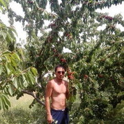  ,   Iron Man, 38 ,   