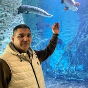  ,   , 44 ,   ,   , 