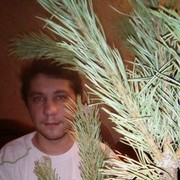  ,   , 36 ,  
