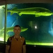 ���������� �����, ���� ������� ������, 41 ���, ������������ ��� ������