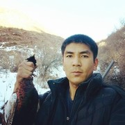 ���������� ������, ���� ������� Zakir, 38 ���, ������������ ��� ������