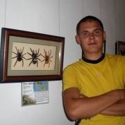 ���������� ����������, ���� ������� ������, 38 ���, ������������ ��� ������, ����� � ���������, c�������� ���������