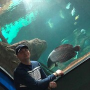  ,   , 36 ,   ,   