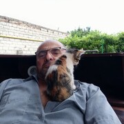  ,    , 59 ,   ,   , c , 