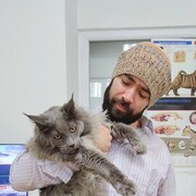  ,   , 33 ,   ,   , c , 